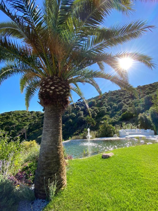 בדלונה Ibiza Style Barcelona Luxury Villa מראה חיצוני תמונה